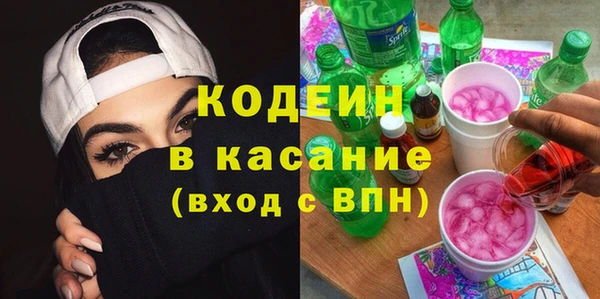 индика Алзамай
