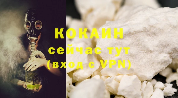 спайс Алексин